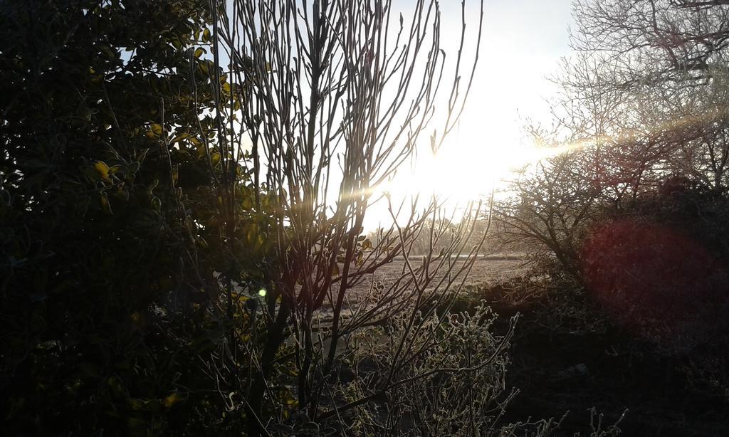 Agervig Bed & Breakfast Naesbjerg Bagian luar foto